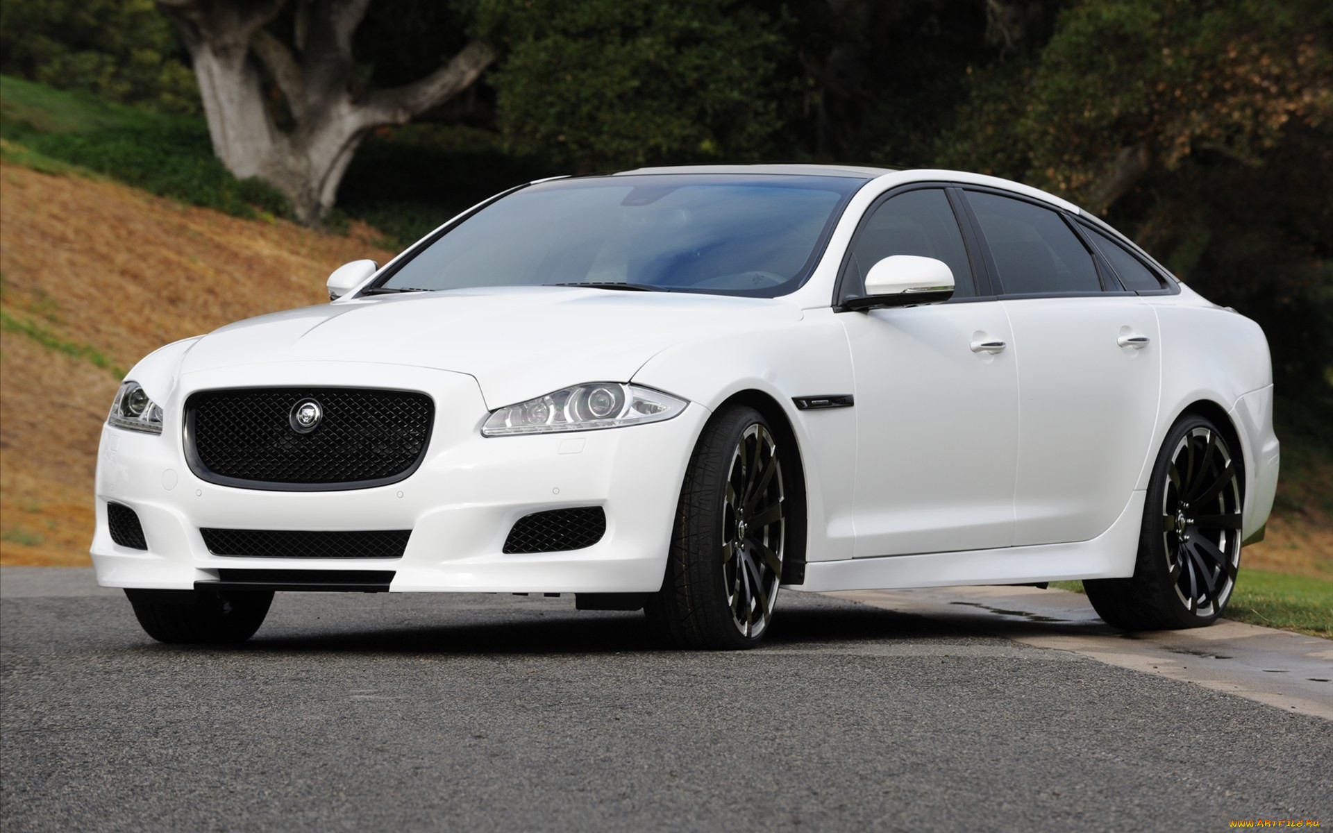 , jaguar
